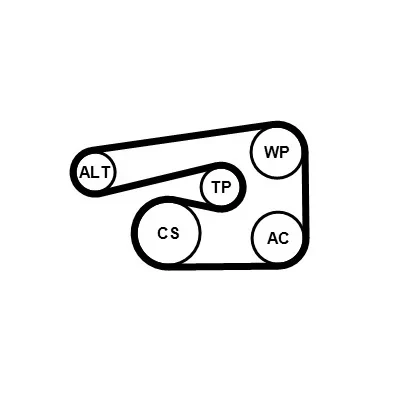 Bilde av CONTITECH 5PK1546K1 Kileribberem OPEL: Zafira B, Corsa D Hatchback, Astra H TwinTop