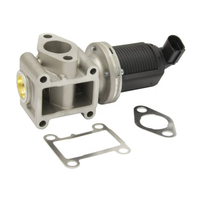 Bilde av MAPCO 83707 EGR Ventil elektrisk magnetventil med tetning OPEL: Astra H Caravan, Zafira B, Hatchback, ALFA ROMEO: 159 Sportwagon, GT