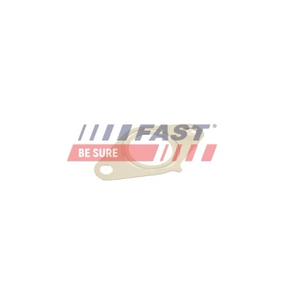Bilde av FAST FT50616 Pakninger