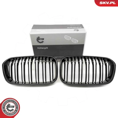 Bilde av ESEN SKV 66SKV318 Radiatorgitter karbon BMW: 1 Hatchback