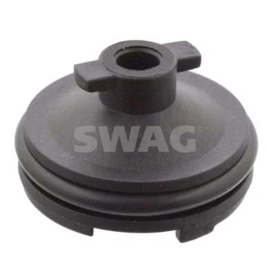 Bilde av SWAG 50 10 6566 Låseskrue, girkasse FORD: S Max Mk2, Mondeo 5 Kombi