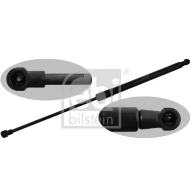 Bilde av FEBI BILSTEIN 47066 Gassfjær 300 520