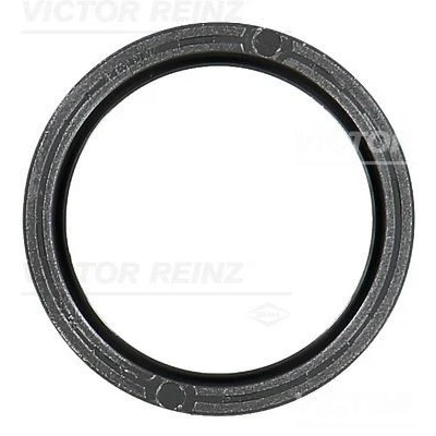 Bilde av REINZ 81 10481 00 Kamaksel Tetningsring VOLVO: V70 3, XC70 II Stasjonsvogn, S60