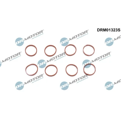 Bilde av DR.MOTOR AUTOMOTIVE DRM01323S Tetningssett, innsugningsmanifold