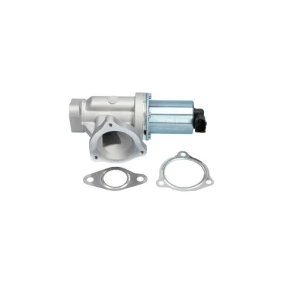 Bilde av KAVO PARTS EEG 3001 EGR Ventil elektrisk HYUNDAI: SANTA FE 2, Tucson, Grandeur, KIA: Sportage II, cee‘d I Stasjonsvogn, Hatchback