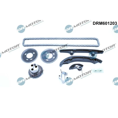 Bilde av DR.MOTOR AUTOMOTIVE DRM601203 Registerkjedesett PEUGEOT: Boxer Minibuss, Van, FORD: Transit Mk6 FIAT: Ducato III Van