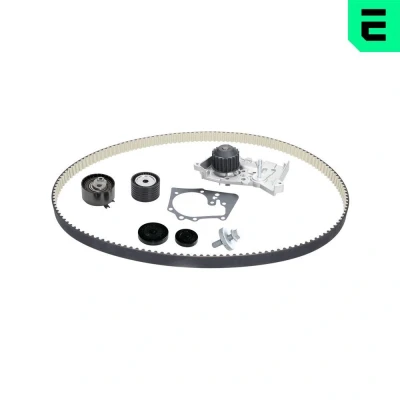 Bilde av Vannpumpe + registerreimssett, dacia,lada,nissan,renault, 11 93 162 59R, 13 07 011 92R, 13070 00Q0L, 00QAA, 00QAB, 77 00 107