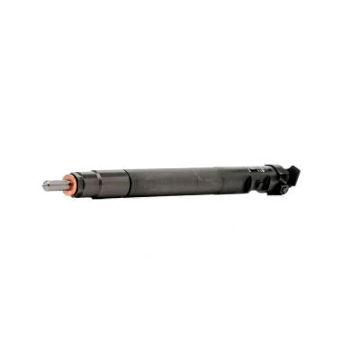 Bilde av DELPHI R00101DP Dysestamme