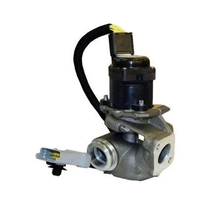 Bilde av MAGNETI MARELLI 571822112031 EGR Ventil VOLVO: V50, S40 II, C30, FORD: Focus 2, 2 Kombi, C Max