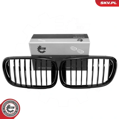 Bilde av Radiatorgitter Esen skv 66SKV222 bmw 3 [e46], compact touring [e46] OE 51138208487, 5113 8208 487