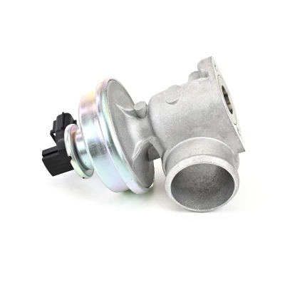 Bilde av DELPHI EG10406 12B1 EGR Ventil med tetning