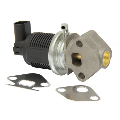 Bilde av MAPCO 83802 EGR Ventil elektrisk magnetventil med tetning VOLKSWAGEN: Caddy 3, Golf 5, Polo IV Hatchback, SKODA: Octavia 2 Combi, 1 Combi
