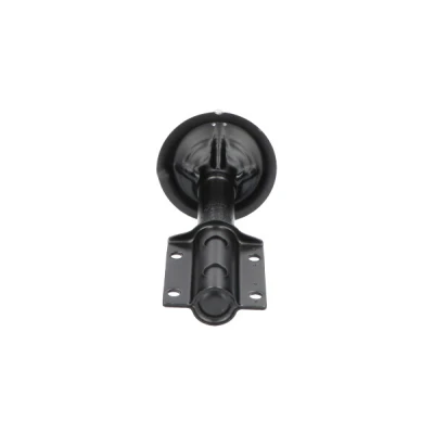 Bilde av KAVO PARTS SSA 10079 Støtdemper framaksel gasstrykk torørs fjærbein øvre stift FIAT: Ducato II Flatvogn lastebil/Chassis