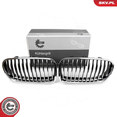 Bilde av ESEN SKV 66SKV182 Radiatorgitter krom BMW: 5 Touring, Sedan