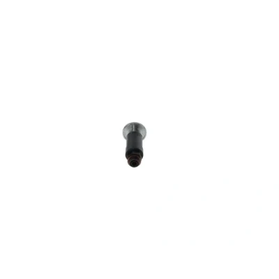 Bilde av BOSCH 2 447 010 020 Hånd transportpumpe