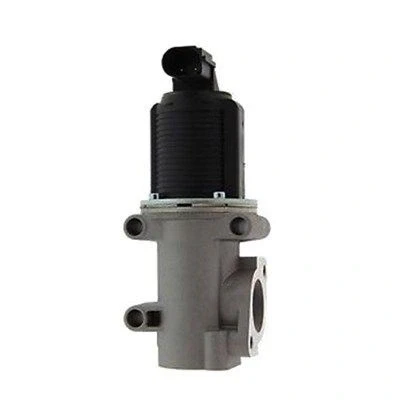 Bilde av MAGNETI MARELLI 571822112006 EGR Ventil FIAT: BRAVO 2