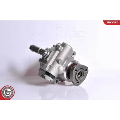 Bilde av Hydraulikkpumpe, styring, seat,vw, 028145154E, 028145157, 028145157B, 028145157C, 028145157D, 028145157DX, 028145157E, 191422155, 1H0422