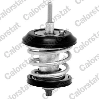 Bilde av CALORSTAT by Vernet TH7188.95J Termostat 95 41,0 med tetning AUDI: A4 B8 Avant, A6 C7 Allroad, VOLKSWAGEN: Passat B7 Variant