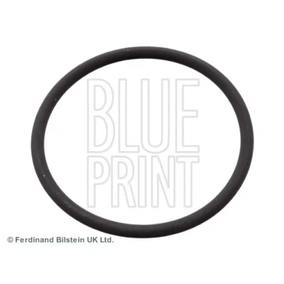 Bilde av BLUE PRINT ADN16144 Pakninger