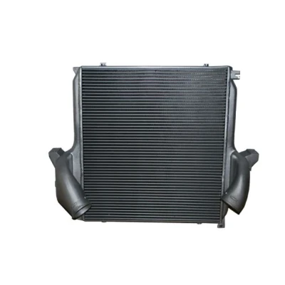 Bilde av Intercooler THERMOTEC DAME001TT
