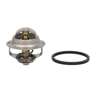 Bilde av THERMOTEC D2IV003TT Termostat 81 uten kapsling