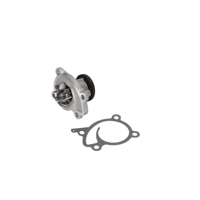 Bilde av Vannpumpe, audi,chrysler,dacia,dodge,ford,mercedes benz,nissan,opel,peugeot,renault,smart,suzuki, 21010ED00A, 21010 ED00A, ED025,