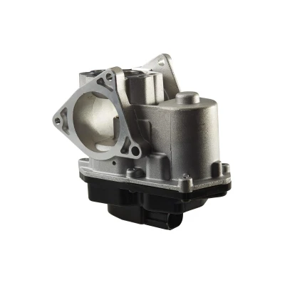 Bilde av HELLA 6NU 010 171 801 EGR Ventil elektrisk med tetning VOLKSWAGEN: Tiguan I, Golf 6, AUDI: A4 B8 Sedan, Avant, A6 C6 SKODA: Yeti