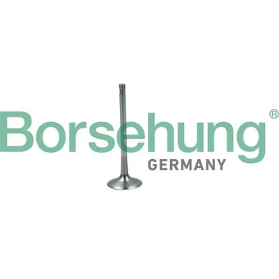 Bilde av Borsehung B19026 Innløpsventil AUDI: A4 B8 Avant, Allroad, Sedan, VOLKSWAGEN: Multivan 5 (7HM, Polo V Hatchback, Scirocco III
