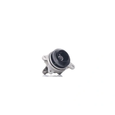 Bilde av DOLZ R239 Vannpumpe MERCEDES BENZ: Vito Van, Tourer, RENAULT: MEGANE 3, SCENIC NISSAN: Qashqai / Qashqai+2 I