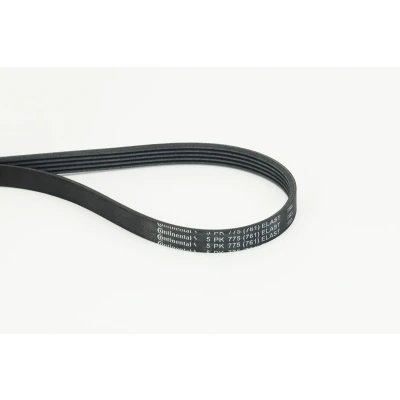 Bilde av CONTITECH 5PK775 ELAST Kileribberem 775mm 5 FORD: Transit Mk7 Van, Flatvogn lastebil / Chassis