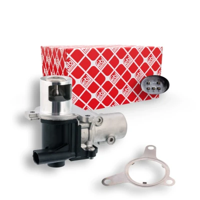 Bilde av FEBI BILSTEIN 108909 EGR Ventil med tetning NISSAN: Qashqai / Qashqai+2 I, 2, RENAULT: Kangoo I Express, MEGANE 2 Kombi