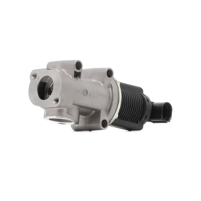 Bilde av PIERBURG 7.22946.34.0 EGR Ventil elektrisk magnetventil med tetning FIAT: BRAVO 2