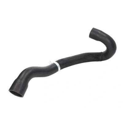 Bilde av THERMOTEC DCC018TT Sugeslange, luftfilter utgang, framaksel PEUGEOT: 307 Hatchback