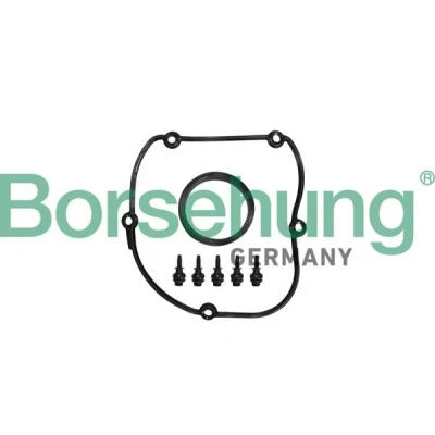 Bilde av Borsehung B10629 Pakninger AUDI: A5 B8 Coupé, A4 Avant, A6 C7 Avant