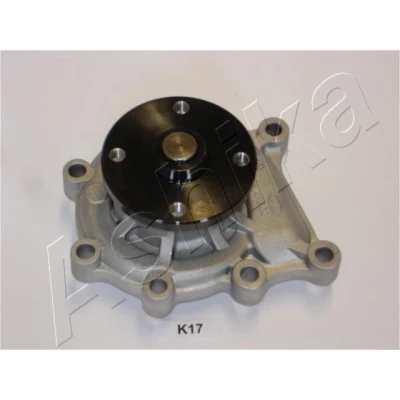 Bilde av Vannpumpe, kia carnival / grand iii, 251004X900, 25100 4X900