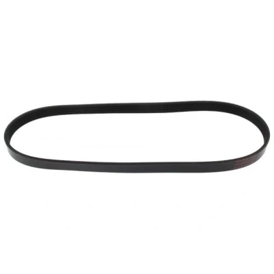 Bilde av MAPCO 250860 Kileribberem 860 5 EPDM (etyl propylen dien gummi) HONDA: CIVIC 8 Hatchback, 9, CITROËN: Berlingo / First I