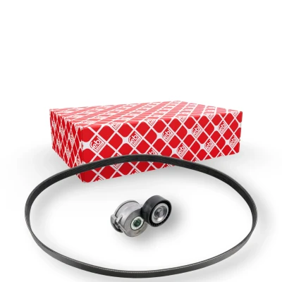 Bilde av FEBI BILSTEIN 183561 Kileribberem PEUGEOT: Expert II Van, 5008 I, 508 I SW, CITROËN: C4 Hatchback, C5 III Stasjonsvogn, DS4 Hatchback