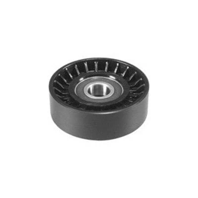 Bilde av MAGNETI MARELLI 331316170009 Styrerulle kilerem