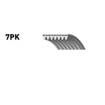 Bilde av SNR CA7PK2711 Kileribberem 2711 7 FORD: Transit Mk6 Van, Mk5 Flatvogn lastebil/Chassis, lastebil/Chassis