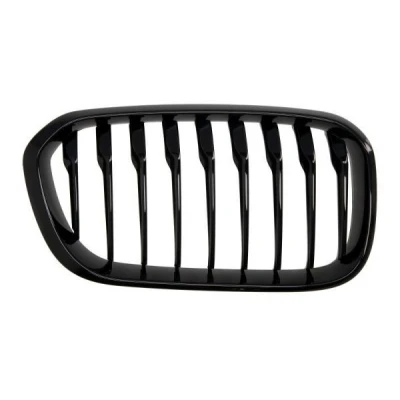 Bilde av BLIC 6502 07 0086998P Radiatorgitter foran høyre BMW: 1 Hatchback