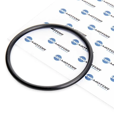 Bilde av DR.MOTOR AUTOMOTIVE DRM053 Tetning, drivstoff filter