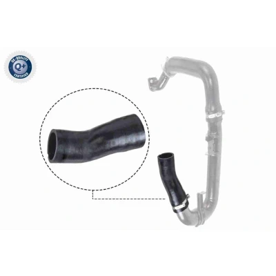 Bilde av VAICO V24 0697 Ladeluftslange gummi med tekstilforsterker Q+, original equipment manufacturer quality