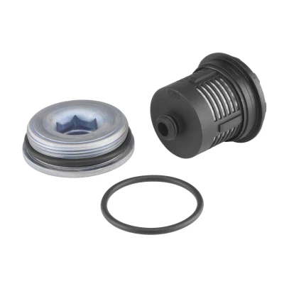Bilde av BorgWarner DS120456 Hydraulikkfilter, Haldex clutch VOLKSWAGEN: Golf 5, Transporter 5 Bus, Multivan (7HM, SKODA: Octavia 2 Combi, AUDI: A3 Sportback