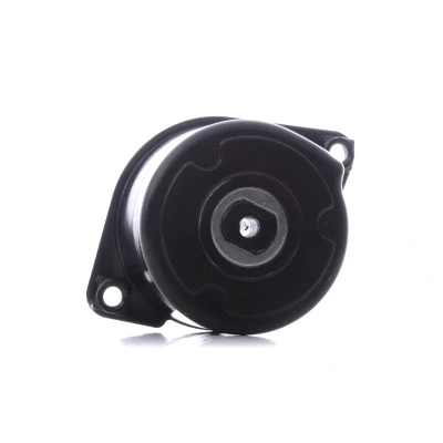 Bilde av INA 534 0170 10 Spennarm, kilerem med ribber BMW: 5 Touring