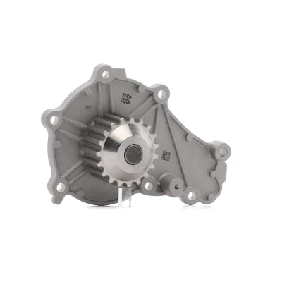 Bilde av MAGNETI MARELLI 352316170919 Vannpumpe VOLVO: V70 3, V60 I, V40 Hatchback, FORD: FIESTA 6, FOCUS MONDEO 4 Turnier, PEUGEOT: 208 I Hatchback