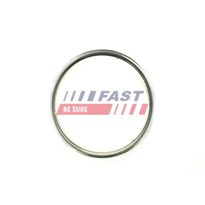 Bilde av FAST FT84813 Tetning, eksosrør inngang FIAT: Ducato III Van, Grande Punto Hatchback, Flatvogn lastebil / Chassis