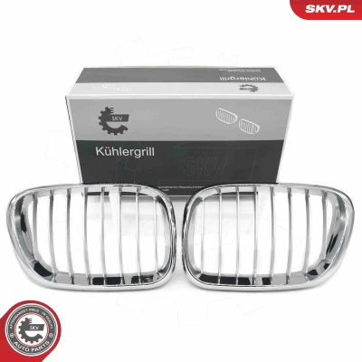Bilde av ESEN SKV 66SKV272 Radiatorgitter krom BMW: X5
