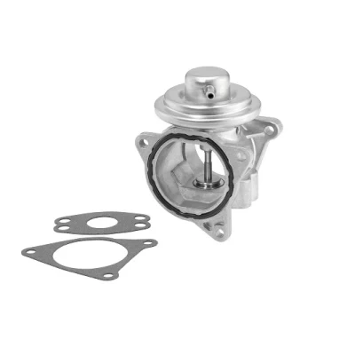 Bilde av WAHLER 7496D EGR Ventil pneumatisk med tetning VOLKSWAGEN: Passat B6 Variant, Touran I, Golf 5, SKODA: Octavia 2 Combi, Roomster