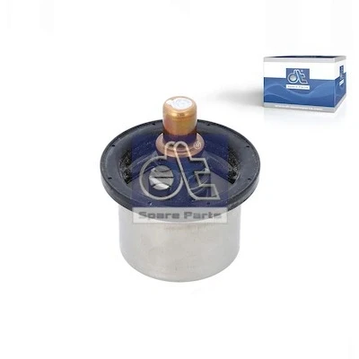Bilde av DT Spare Parts 5.41096 Termostat 91