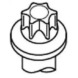 Bilde av REINZ 14 32334 01 Sylindertoppskrue utvendig torx NISSAN: X Trail